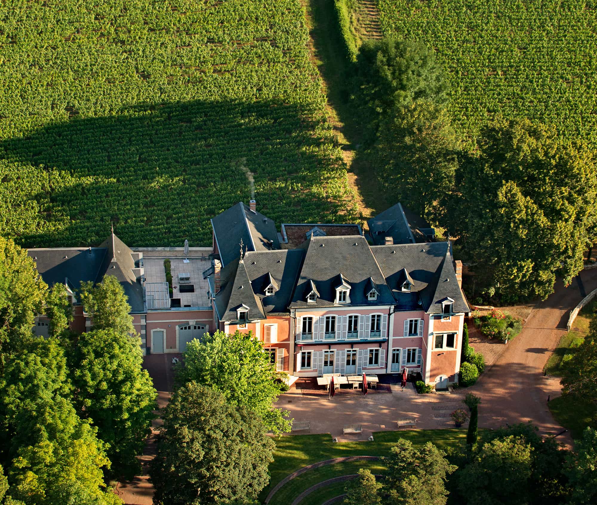 Domaine Serene Expands to Burgundy
