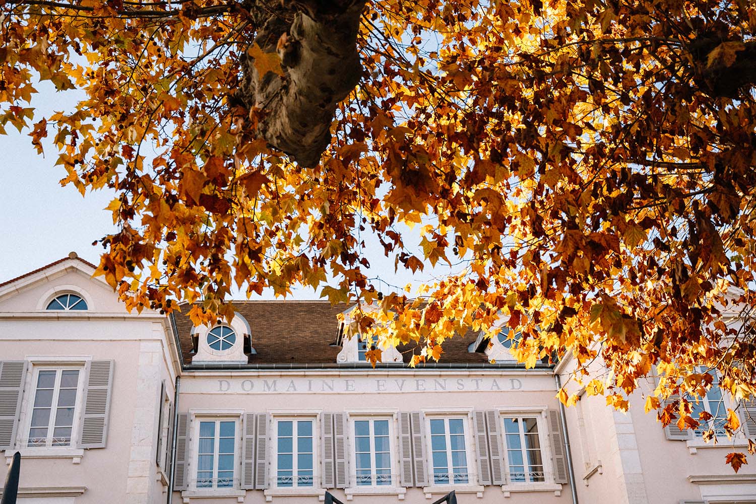 Domaine Evenstad Opens in Santenay